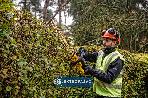 Nożyce do żywopłotu DeWalt DCMHT563P1-QW 55cm 18V XR 1x5,0Ah Li-Ion 4